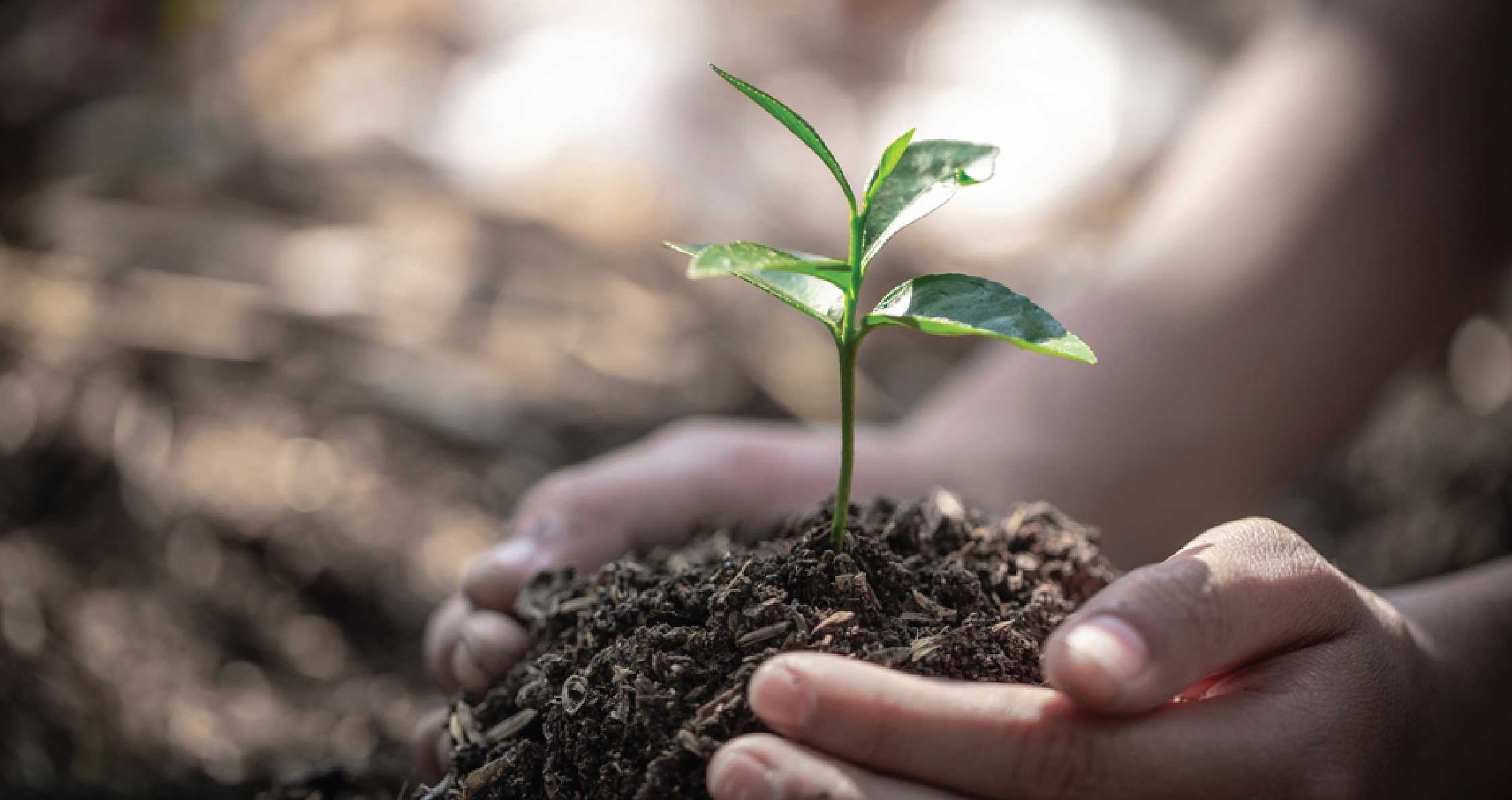 ISO 14001
